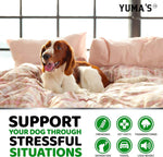 Load image into Gallery viewer, Hemp Calming Chews for Dogs 2-Pack