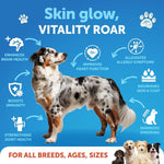 Load image into Gallery viewer, Salmon Oil for Dogs 16 fl oz Omega-3 Wild Alaskan