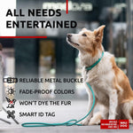 Load image into Gallery viewer, Rolled Leather Dog Collar Padded All Sizes 15-19 in Mint Color