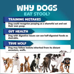 Load image into Gallery viewer, No Poo Chews for Dogs Stop Poop Eating Behavior Probiotics and Digestive