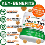 Load image into Gallery viewer, 2 Pack Insects Prevention for Dogs Pills 340 Chews Natural Dog Insects Control Oral Defense Treatment for Dogs Supplement Vet Formulated All Breeds & Ages