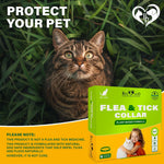 Load image into Gallery viewer, Natural Flea & Tick Collar for Cats 6 Months Control of Best Prevention & Safe Treatment Anti Fleas and Ticks Essential Oil Repellent (1 Pack)