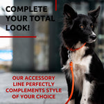 Load image into Gallery viewer, Rolled Leather Dog Leash 4 ft x 0.4 in All Sizes Orange