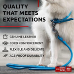 Load image into Gallery viewer, Rolled Leather Dog Leash 4 ft x 0.3 in All Sizes Blue