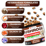 Load image into Gallery viewer, Mushroom Chews for Dogs 340 Count 2-Pack Turkey Tail Lion's Mane & Reishi
