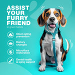 Load image into Gallery viewer, No Poo Chews for Dogs Coprophagia Deterrent Probiotics Gut Health