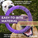 Load image into Gallery viewer, Dog Ring Fetch Toy Large Dogs Maxi Size 1 Pc Purple