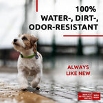 Load image into Gallery viewer, Waterproof Dog Collar Adjustable Dog Collar 9 - 14 in Neck x 3/5 in Wide