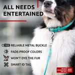 Load image into Gallery viewer, Rolled Leather Dog Collar Padded 21-24 in Neck Mint Color