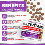 Load image into Gallery viewer, Multivitamin Treats for Dogs 2-Pack