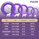 Load image into Gallery viewer, Dog Ring Fetch Toy Medium Dogs MIDI Size 2 Rings