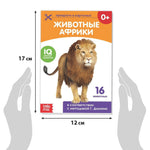 Load image into Gallery viewer, Doman Method Russian Flashcard Book Set for Learning Set 8 Topics from Farm Animals to Alphabet