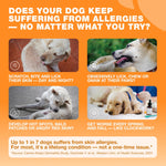 Load image into Gallery viewer, Dog Allergy Relief Chews Itch Relief for Dogs 180 Allergy Chews for Itching Skin with Probiotics, Colostrum, Salmon Oil Allergy, Skin and Coat, Immune, Digestion Support Supplement Hot Spots