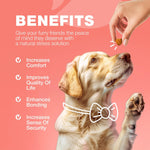 Load image into Gallery viewer, Dog Insects Treatment Chews Insects Control