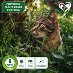 Load image into Gallery viewer, Natural Flea & Tick Collar for Cats 6 Months Control of Best Prevention & Safe Treatment Anti Fleas and Ticks Essential Oil Repellent (1 Pack)