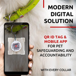Load image into Gallery viewer, Rolled Leather Dog Collar Padded 8–10 in Neck Green