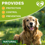 Load image into Gallery viewer, Flea & Tick Collar for Dogs 6-Month Protection Essential Oil 2 Count