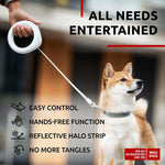 Load image into Gallery viewer, White Hands Free Retractable Dog Leash for Small Medium and Large Dogs 9.5 Ft