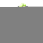 Load image into Gallery viewer, 5 Pcs Pancake Mold Set – Stainless Steel Pancake Molds for Griddle with Fun Shapes Comfortable Handles and Non Slip Design – Egg Shaper for Frying Pan With Silicone Brush for Easy Use & Cleaning