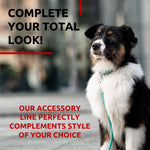 Load image into Gallery viewer, WAUDOG Rolled Leather Dog Leash 4Ft * 0.5 in for Small Medium and Large Dogs Heavy Duty Leather Puppy Leash for Outdoor Walking Running Training Strong Dog Leashes for Large Breed Dogs (Mint)