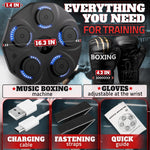 Load image into Gallery viewer, Music Boxing Machine for Adults Durable Wall Mounted Bluetooth Music Punching Machine with 9 Modes Shock Absorbing Pads LED Screen & Included Gloves Boxing Equipment for Training at Home
