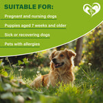 Load image into Gallery viewer, Natural Flea & Tick Collar for Dogs 6 Months Control of Best Prevention & Safe Treatment Anti Fleas and Ticks Essential Oil Repellent (1 Pack 2 Count)