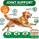 Load image into Gallery viewer, Glucosamine for Dogs 340 Mobility Chews 2-Pack Hip & Joint Chondroitin & MSM