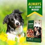 Load image into Gallery viewer, Rawhide Treats for Dogs Duck & Chicken Human-Grade 10.6 oz