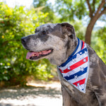 Load image into Gallery viewer, 4th of July Bandana for Large and Small Pets. Reflective Accessories for Walking Camping and Off Leash Exploration 2 Pack. (Medium)