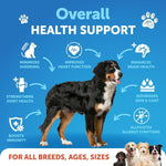 Load image into Gallery viewer, Omega-3 Fish Oil for Dogs 8 fl oz Skin & Coat Support