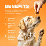 Load image into Gallery viewer, Dog Allergy Relief Chews Itch Relief Anti-Itch