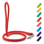 Load image into Gallery viewer, Rolled Leather Dog Leash 4 ft x 0.3 in All Sizes Red