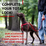 Load image into Gallery viewer, WAUDOG Waterproof Dog Leash 4 Ft 6 Ft Anti Slip Dog Leash for Large Dogs Small and Medium Dogs Heavy Duty Dog Leash with Water and Dirt Resistant Long Or Short Dog Leashes for Boy & Girl Dogs