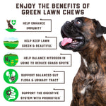Load image into Gallery viewer, Green Lawn Chews for Dogs Urine Neutralizer Cranberry ACV & Enzymes