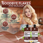 Load image into Gallery viewer, Salicylic Acid Shampoo and Conditioner Set Scalp Exfoliator Formula for Flakes