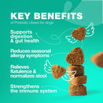 Load image into Gallery viewer, 70 Probiotic Chewables for Dogs Probiotic Chews with Digestive Enzymes for