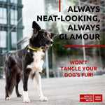 Load image into Gallery viewer, WAUDOG Ultra Soft Rolled Leather Dog Collar for Small Dogs Soft Padded Dog Collars for Medium Dogs Puppy Collars for Large Breed Dogs Male and Female Dog Collar