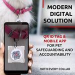 Load image into Gallery viewer, Rolled Leather Dog Collar Padded All Sizes 10–13 in Neck Pink