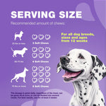 Load image into Gallery viewer, Dog Multivitamin Chews 15-in-1 MSM Hip & Joint Health