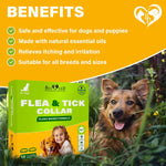 Load image into Gallery viewer, Natural Flea & Tick Collar for Dogs 6 Months Control of Best Prevention & Safe Treatment Anti Fleas and Ticks Essential Oil Repellent (1 Pack 2 Count)