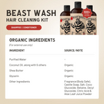 Load image into Gallery viewer, Hair Cleaning Kit