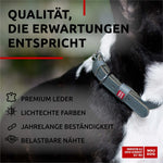 Load image into Gallery viewer, WAUDOG Long Lasting Leather Dog Collar for Large Dogs Medium &amp; Small Dogs
