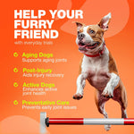 Load image into Gallery viewer, Glucosamine for Dogs Hip &amp; Joint Supplement Chondroitin
