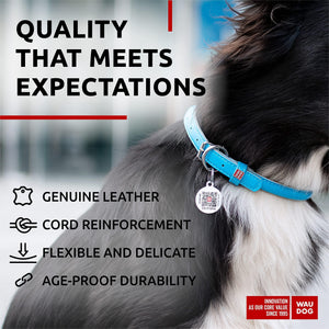 WAUDOG Ultra Soft Rolled Leather Dog Collar for Small Dogs Soft Padded Dog Collars for Medium Dogs Puppy Collars for Large Breed Dogs Male and Female Dog Collar