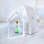 Load image into Gallery viewer, Tiny Magical Message in a Bottle Gift Idea Classy Inspirational Gifts for Him and Her Unique Presents for Women and Men (Green Clover You&#39;re My Lucky Charm in Wooden Frame)
