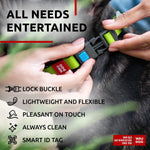 Load image into Gallery viewer, Waterproof Dog Collar Adjustable Medium Dogs 10–16 in Neck x 4/5 in Green