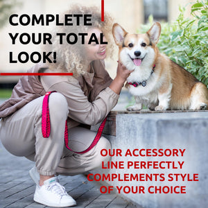 Nylon Dog Leash for Small Dogs and Medium Dogs 4 Ft Strong Dog Leash for Large Dogs Heavy Duty Dog Leashes for Large Breed Dogs & Puppy Leash for Small Boy & Girl Dogs