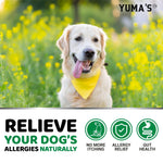 Load image into Gallery viewer, Dog Allergy Relief Chews 170 Count Itchy Skin Relief