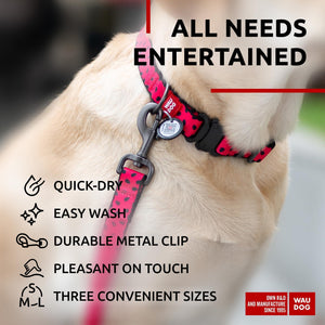 Nylon Dog Leash for Small Dogs and Medium Dogs 4 Ft Strong Dog Leash for Large Dogs Heavy Duty Dog Leashes for Large Breed Dogs & Puppy Leash for Small Boy & Girl Dogs