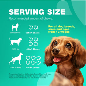 Probiotics for Dogs Soft Chews Support Gut Health & Immunity Dog Digestive